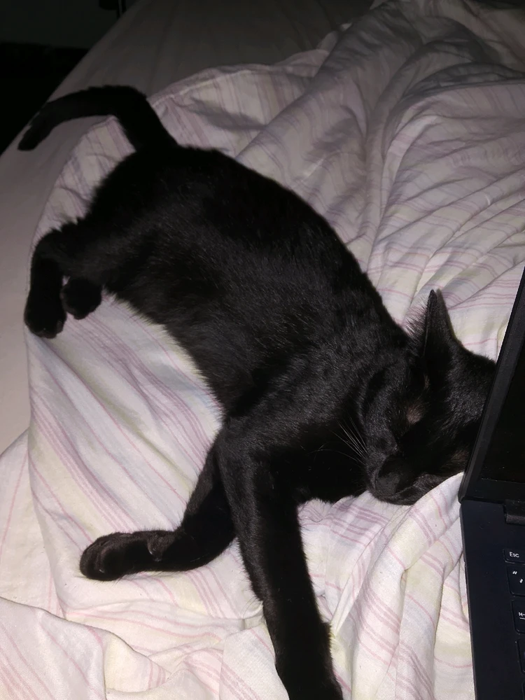 GIF enviado por Leonardo Budke