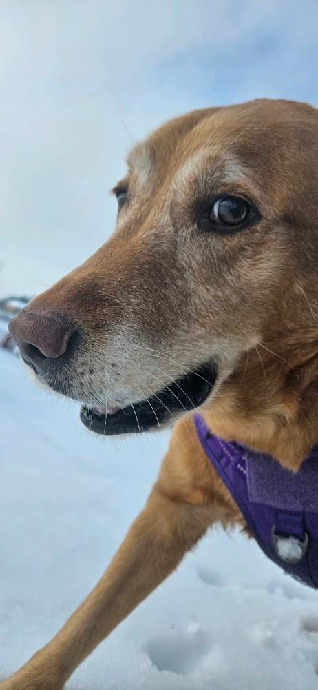 GIF uploaded by Will