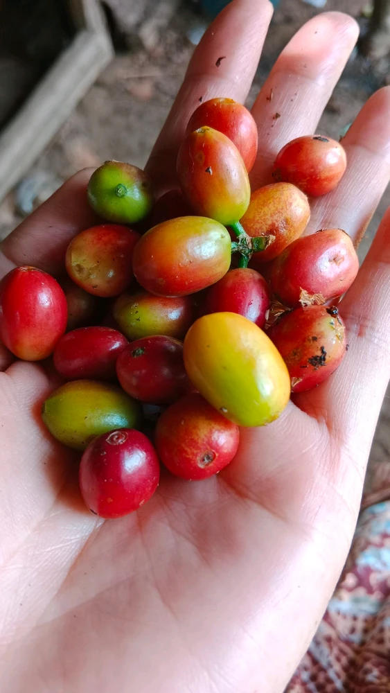 GIF diunggah oleh Va