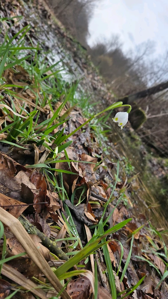 Image uploaded by Barb