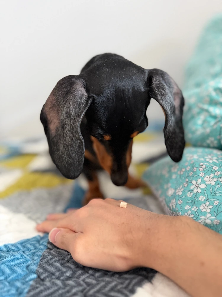 Minseok님이 올린 GIF