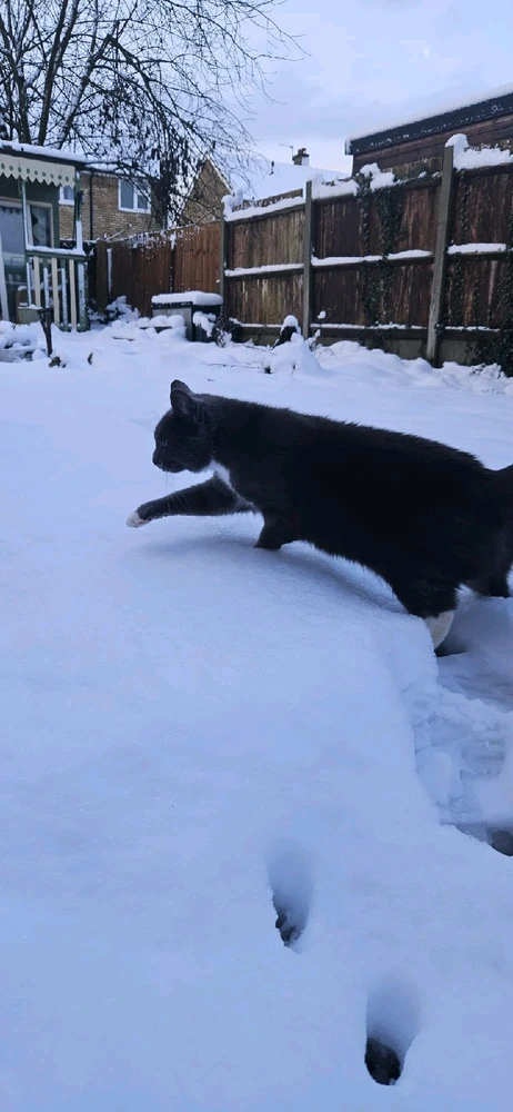 GIF uploaded by Bran