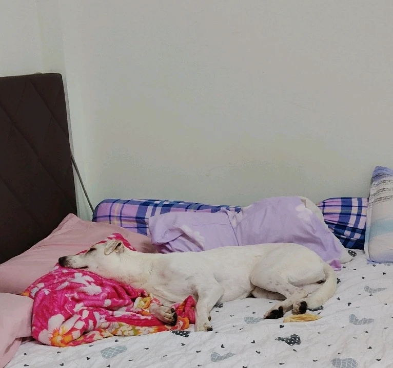 GIF uploaded by Anne