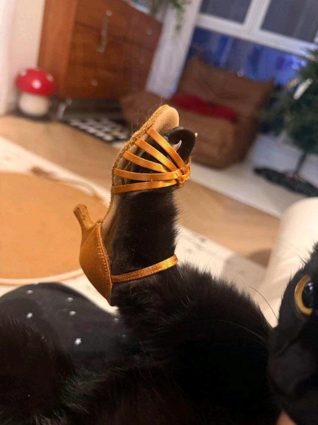 Фото загрузил Maksim