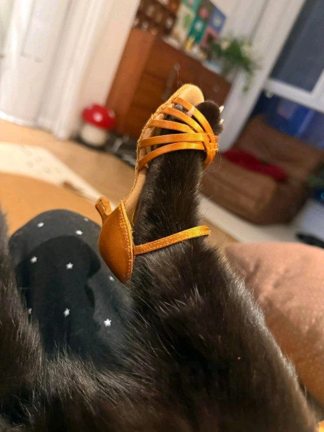 Фото загрузил Maksim