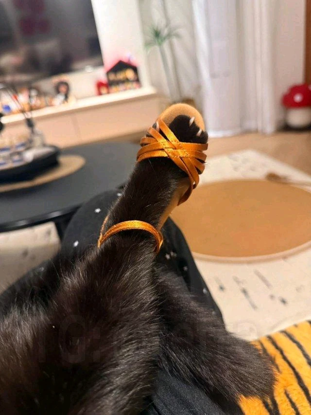 Фото загрузил Maksim