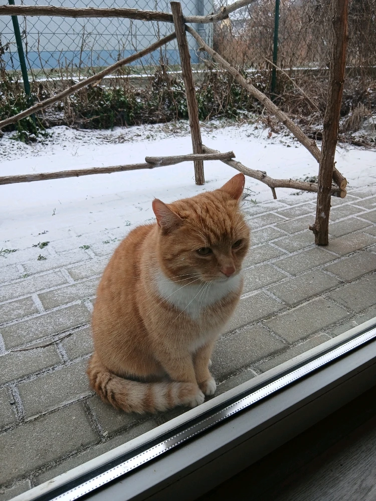 GIF hochgeladen von Otto