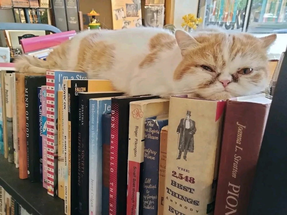 GIF hochgeladen von D