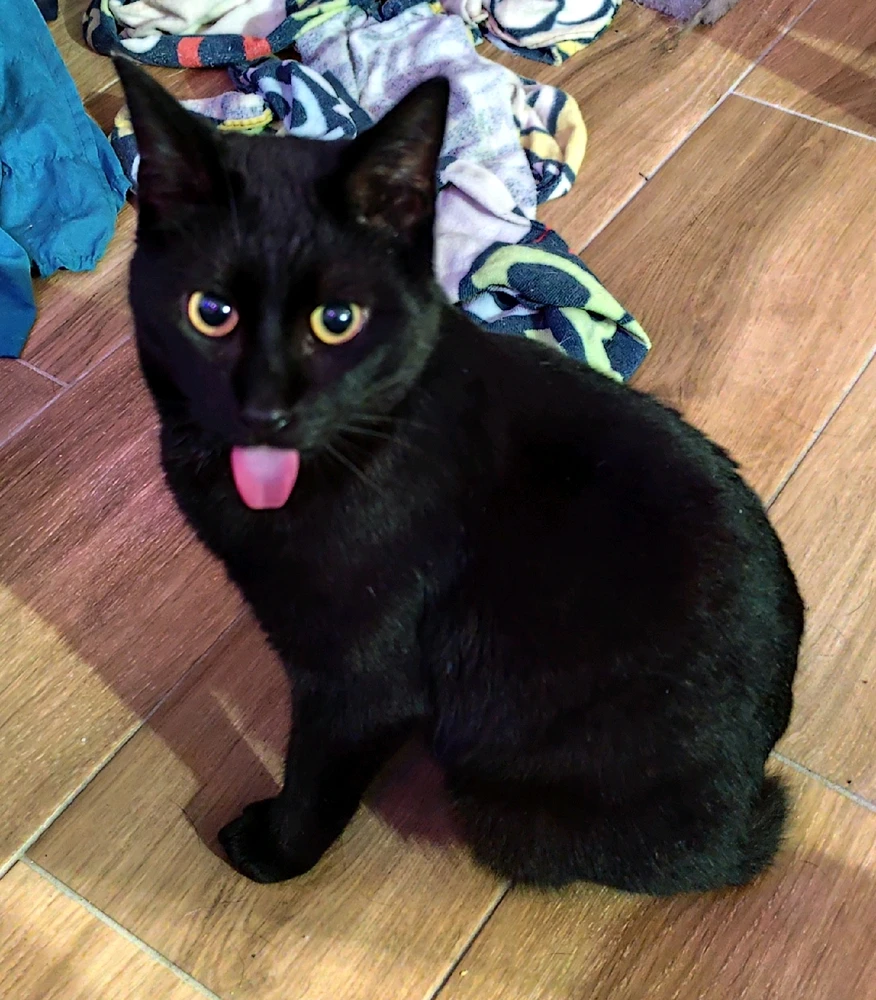 Image ajoutée par Micka