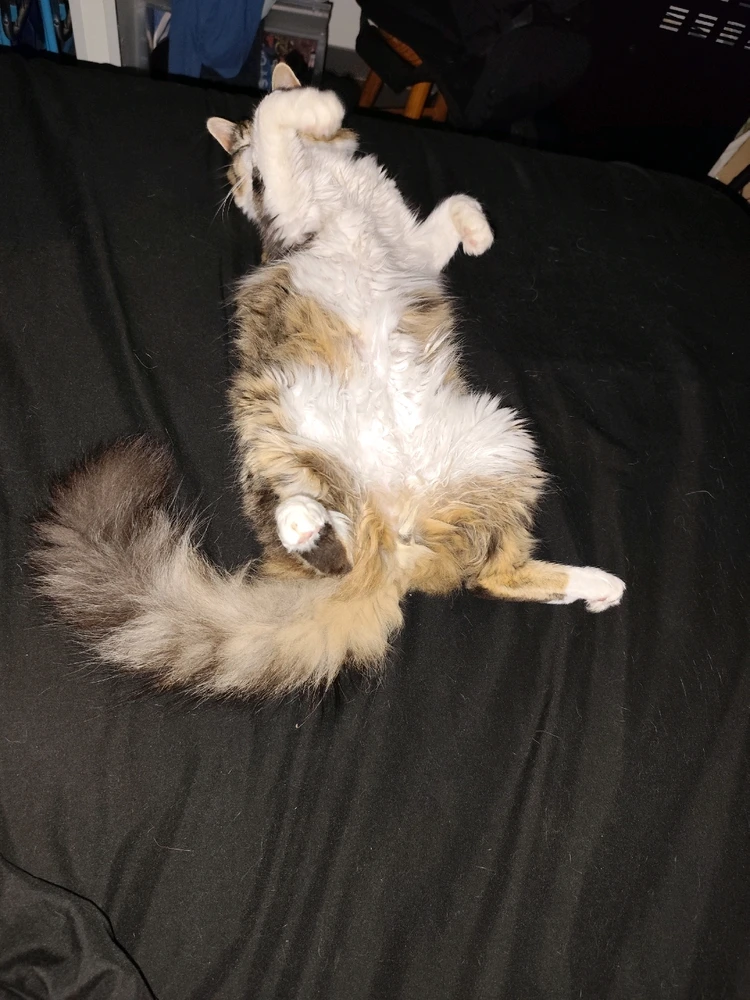 Image ajoutée par Micka