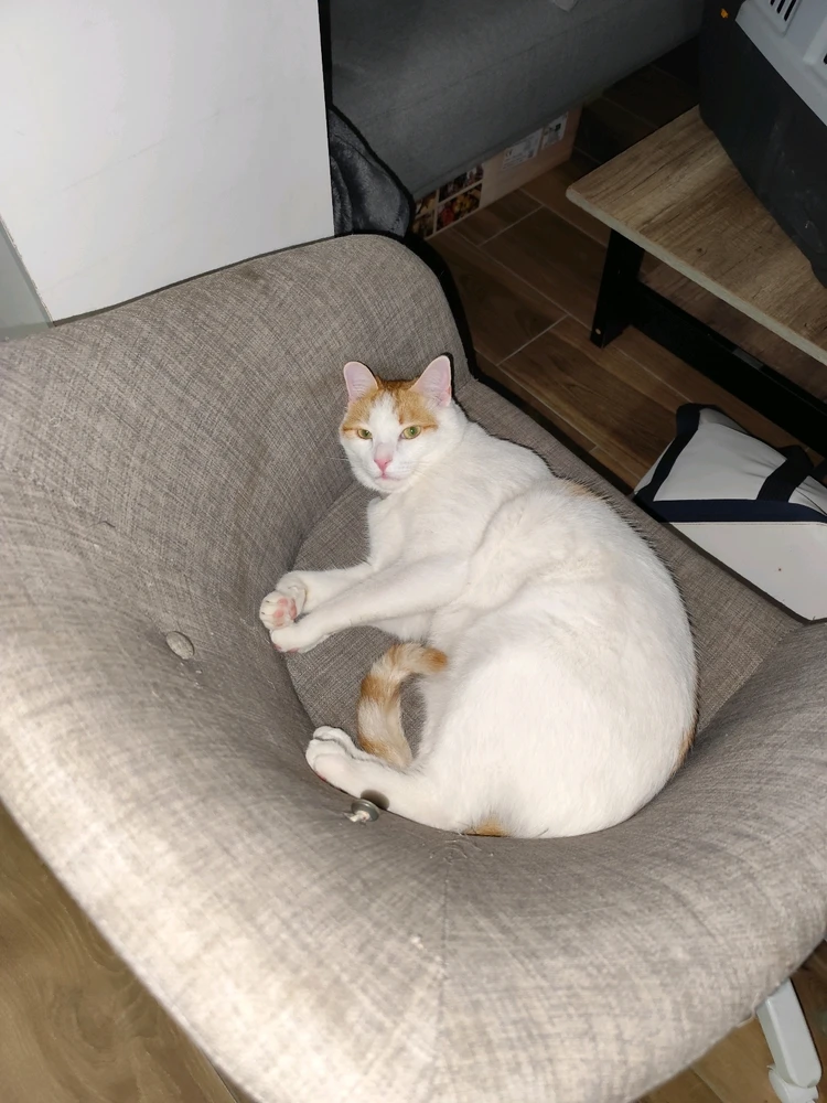 Image ajoutée par Micka