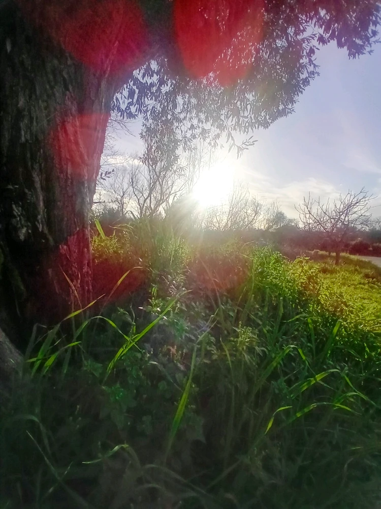 Image uploaded by Kostis