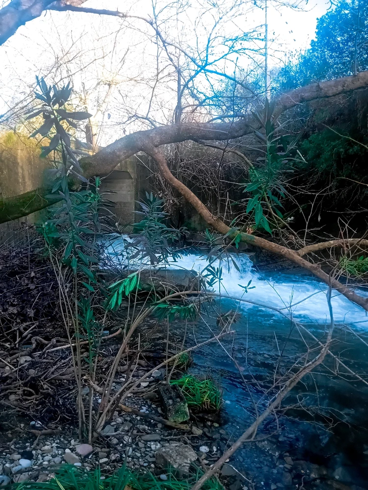 Image uploaded by Kostis