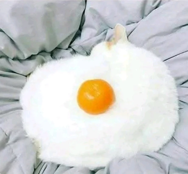 GIF uploaded by WVWVANA