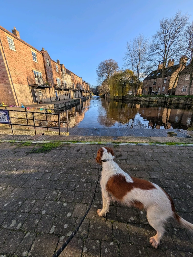 GIF diunggah dening Danny