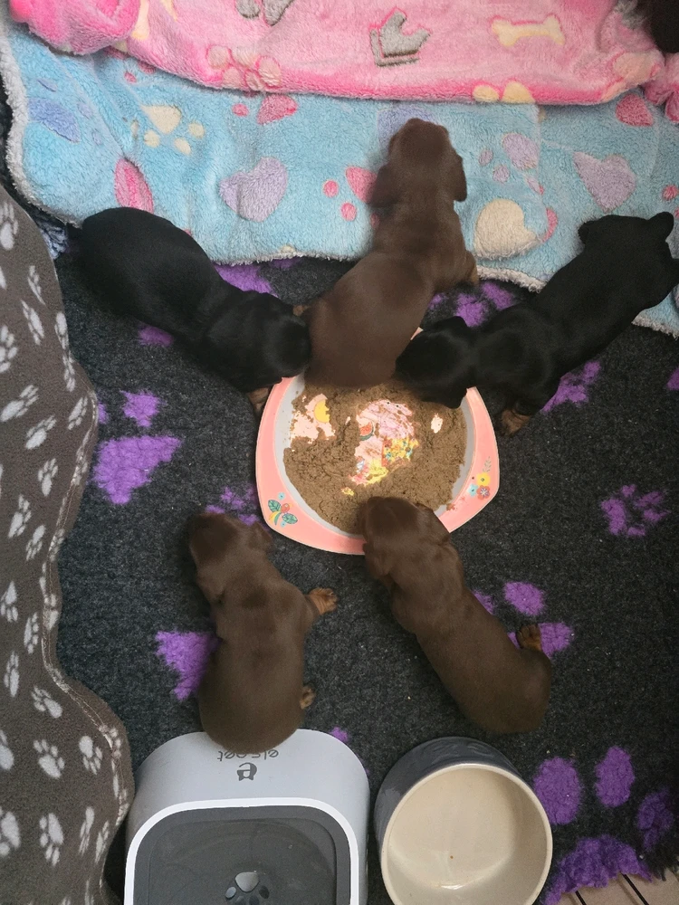 Gambar diunggah dening Terry