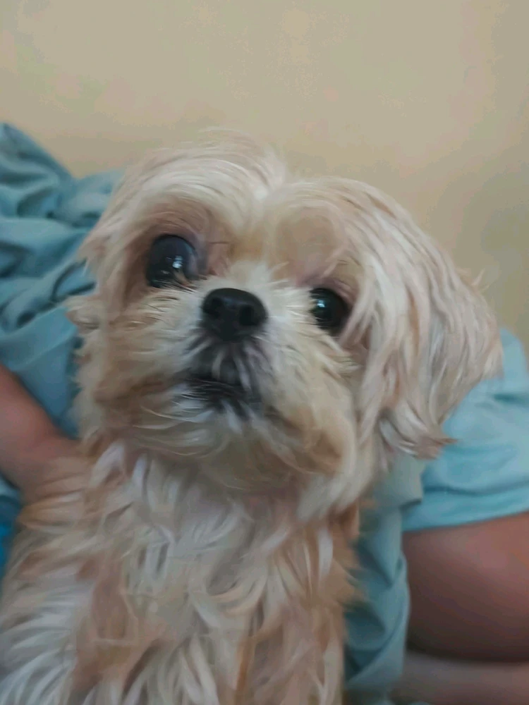 GIF uploaded by Kris