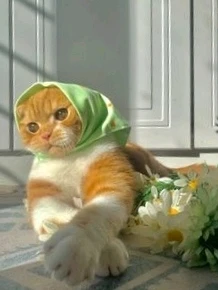 GIF uploaded by 𝓢𝓮𝓻𝓮𝓷 • 𝓢𝓮𝓻𝓮𝓷𝓭𝓲𝓹𝓲𝓽𝔂