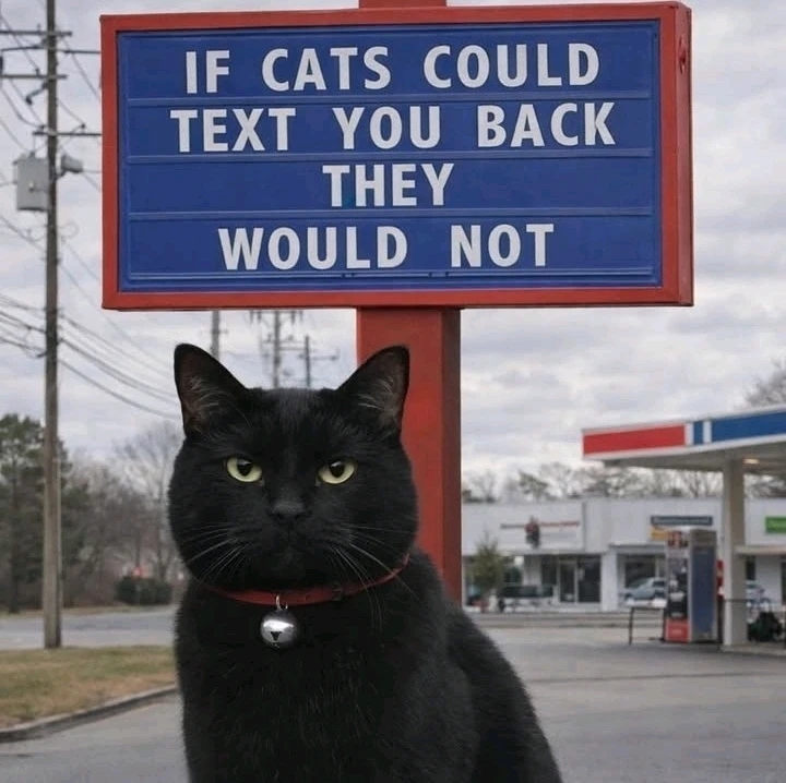 GIF hochgeladen von Alexandru