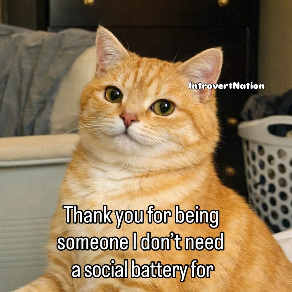 GIF subido por Jorge