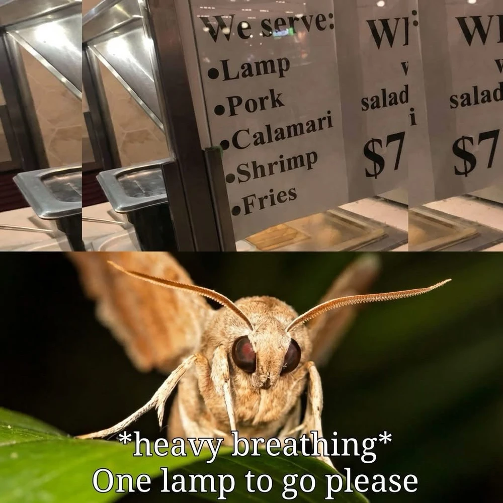 GIF uploaded by 🌙✨ℳℯ𝓁𝒶𝓃𝒾𝓆𝓊ℯ✨🌙