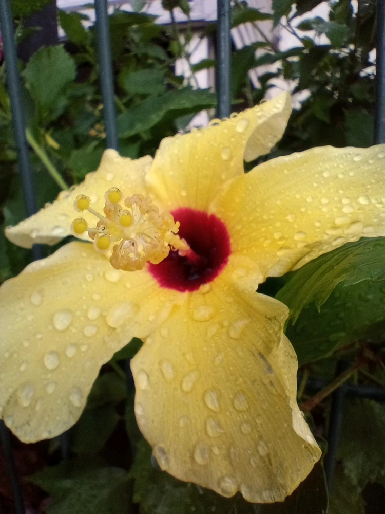 GIF uploaded by Nivea