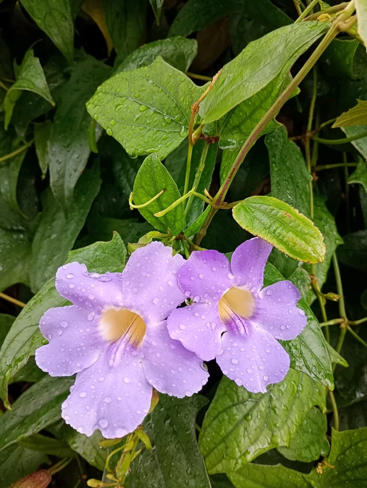 GIF uploaded by Nivea