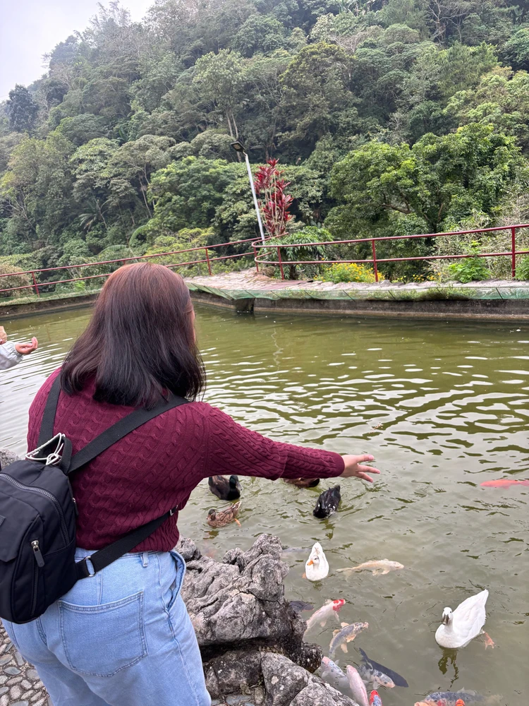 Gambar diunggah dening Charry