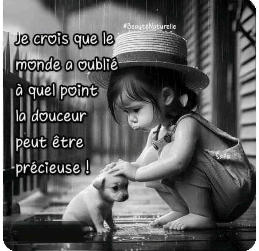 GIF ajouté par Saffiya