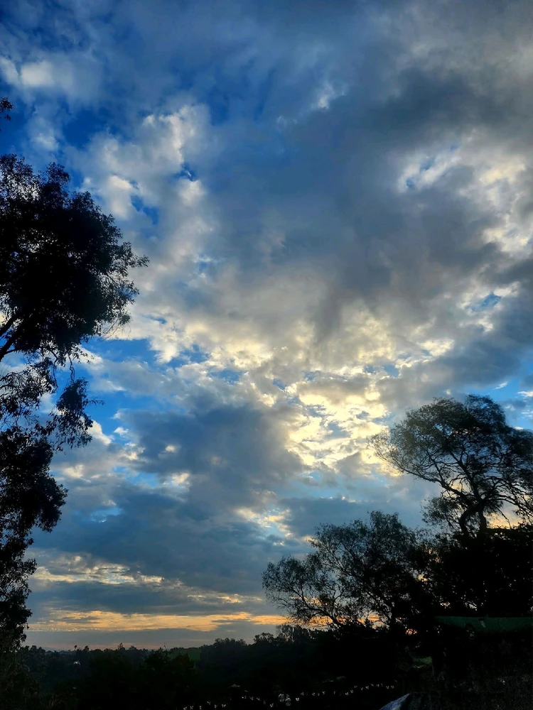 Image uploaded by Joey