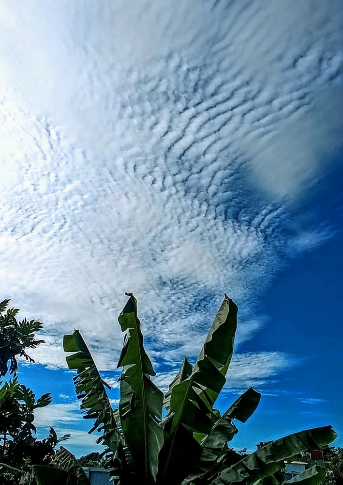 Image uploaded by Joey