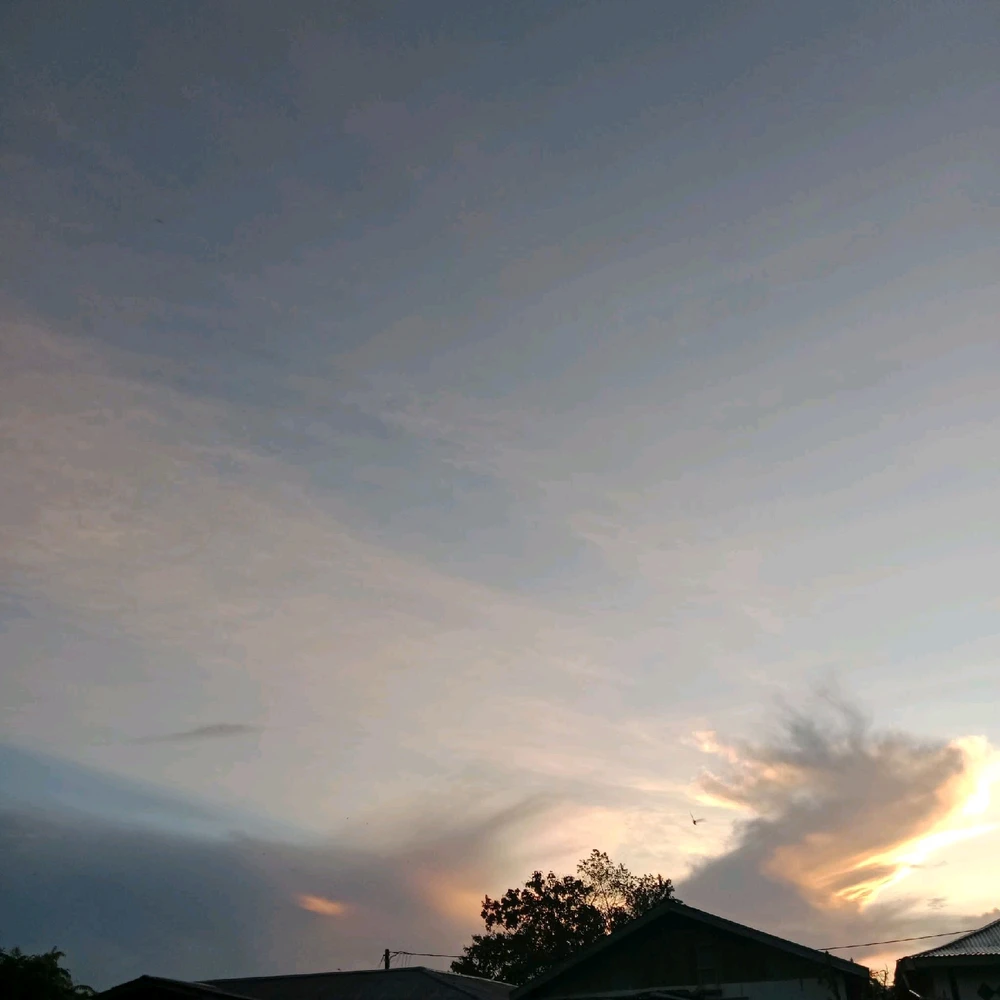 Image uploaded by Joey