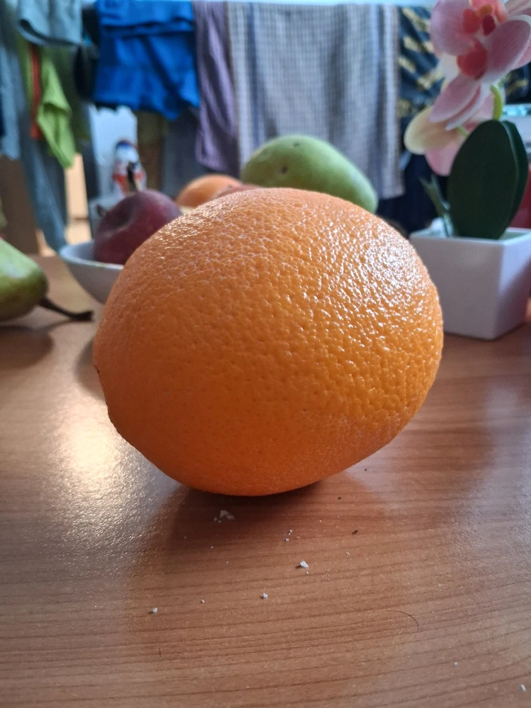 Obrázek nahrál Vydlák z Maloměsta