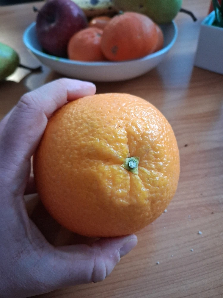 Obrázek nahrál Vydlák z Maloměsta