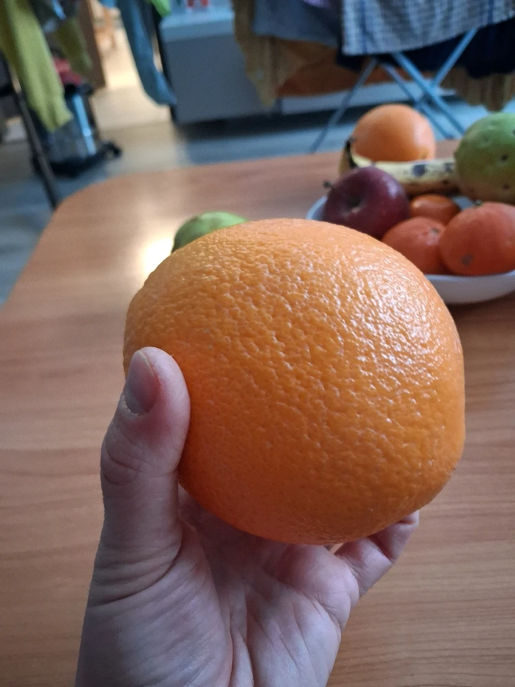 Obrázek nahrál Vydlák z Maloměsta