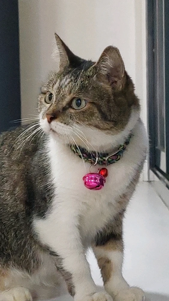 Image uploaded by Matt