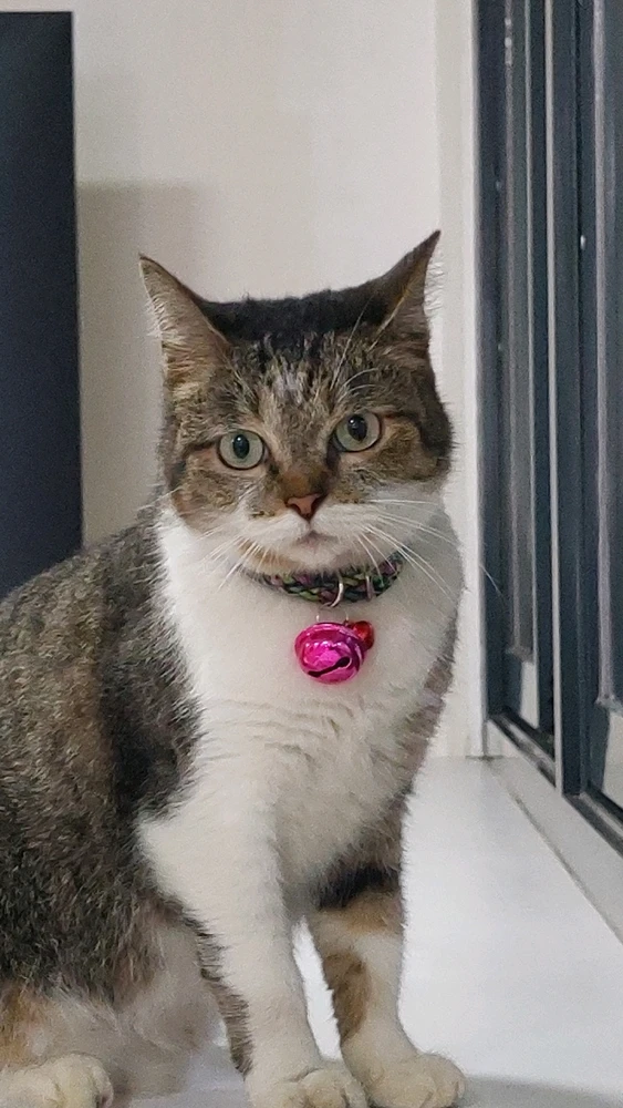 Image uploaded by Matt