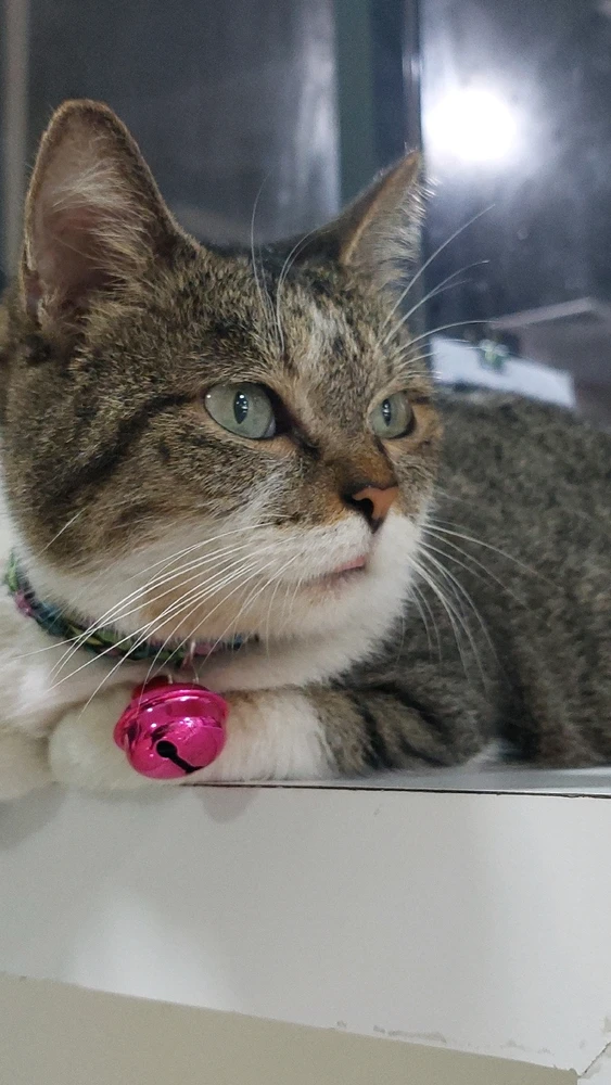 Image uploaded by Matt