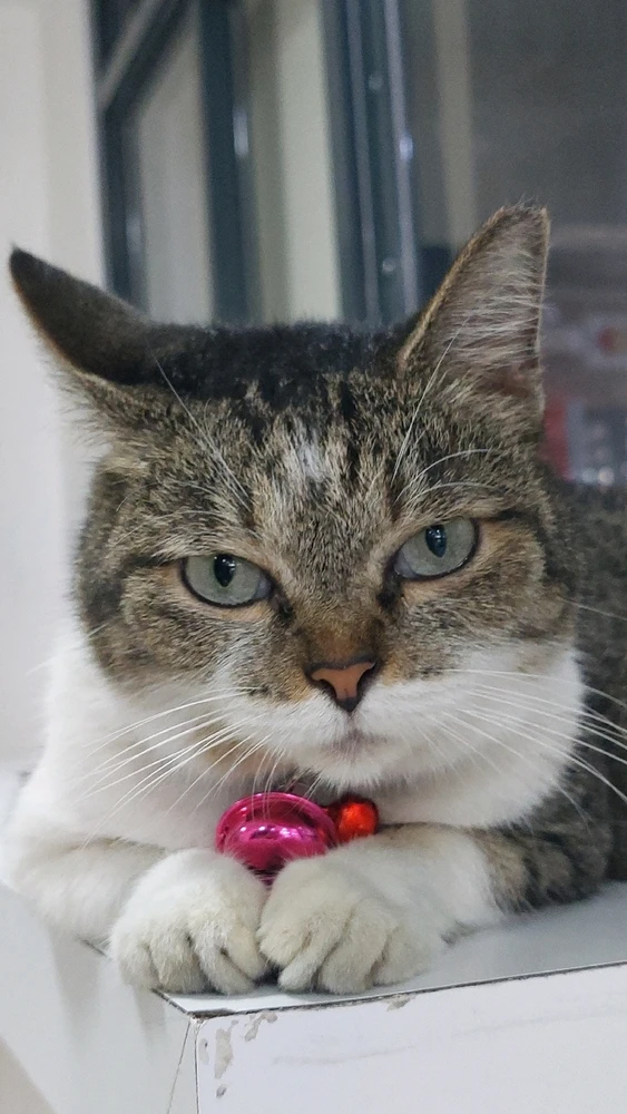 Image uploaded by Matt