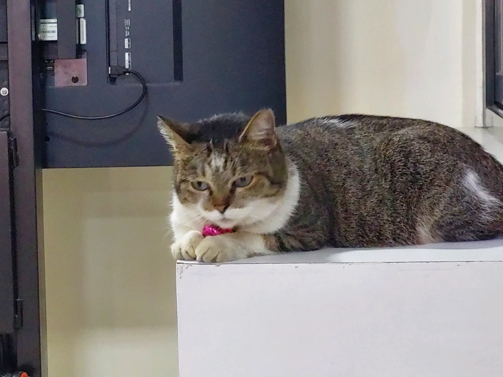 Image uploaded by Matt