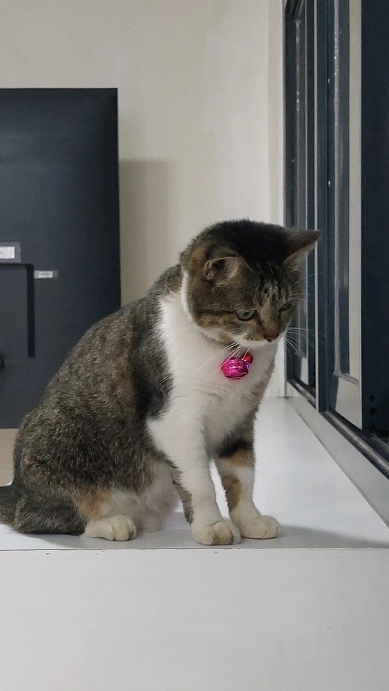 Image uploaded by Matt