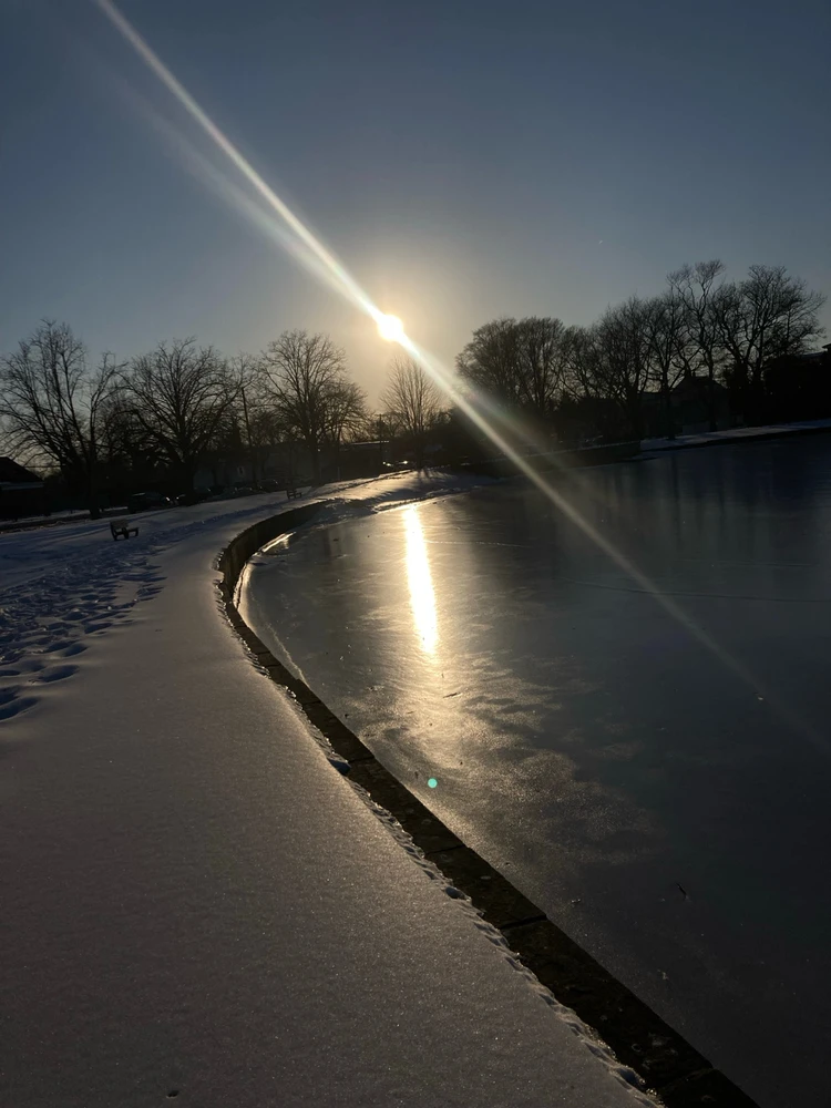 GIF uploaded by Dominick