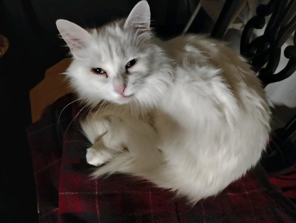 GIF uploaded by Jacob