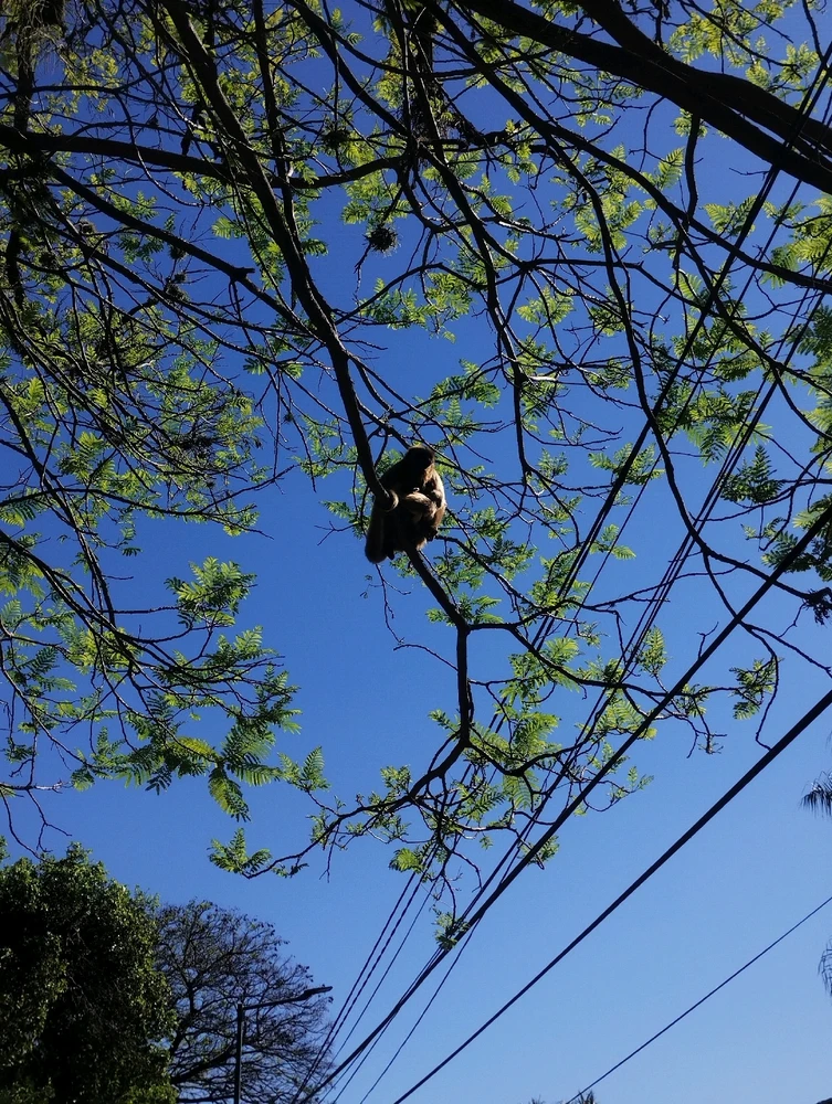 GIF subido por Priscilla