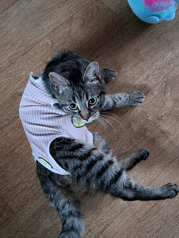 GIF ajouté par Clarisse