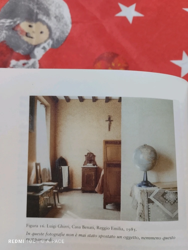 Immagine caricata da Alessandro | alpacigno