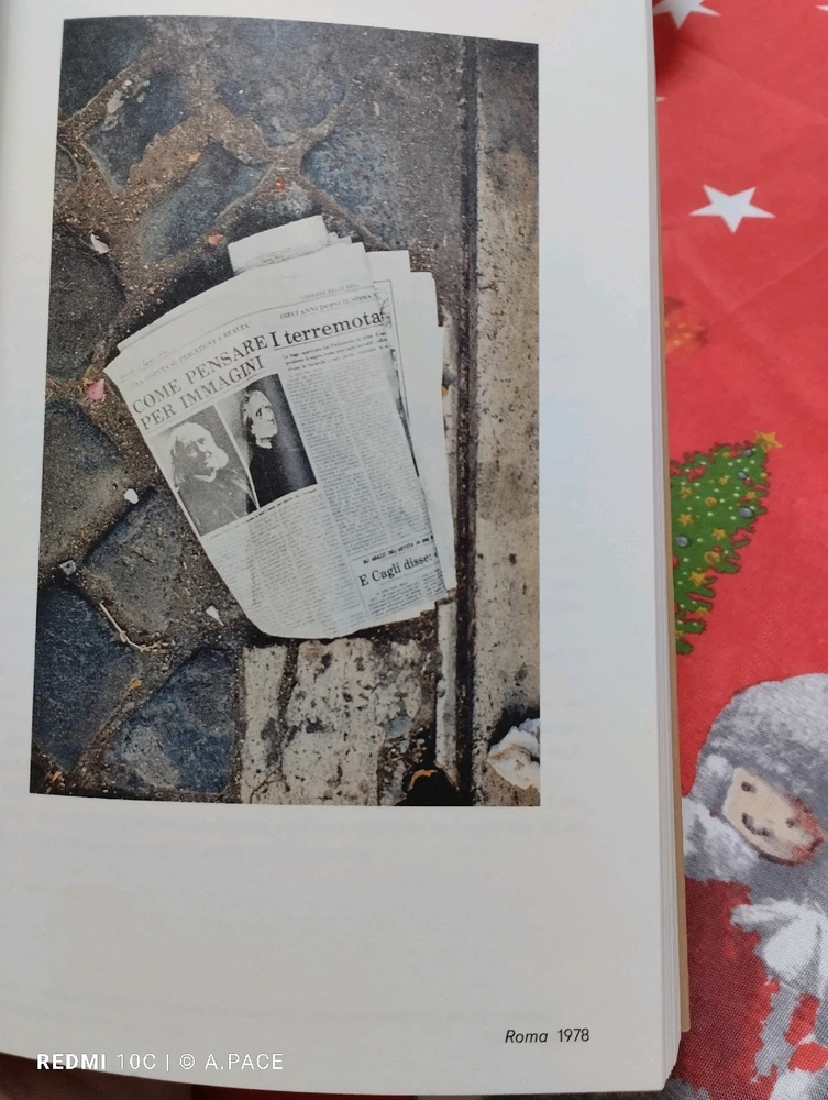 Immagine caricata da Alessandro | alpacigno