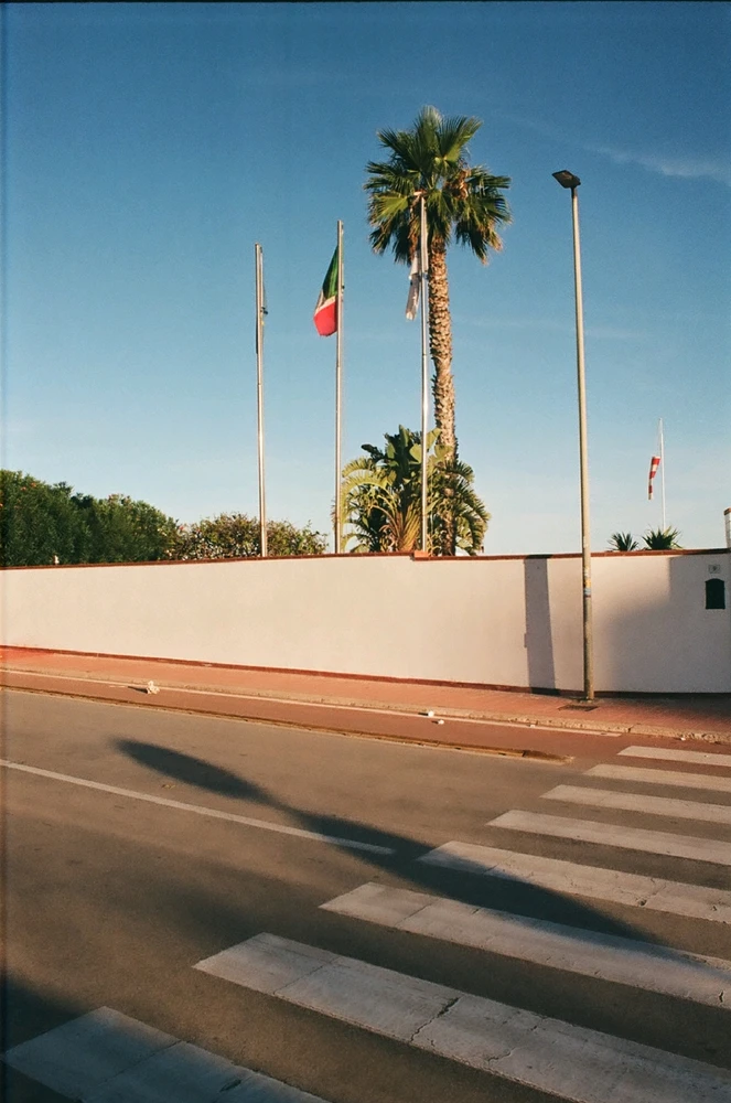 Immagine caricata da Alessandro | alpacigno