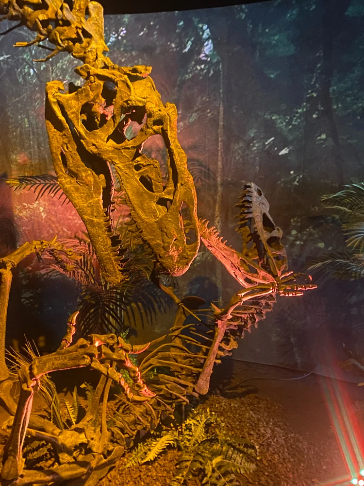 GIF uploaded by Dheif