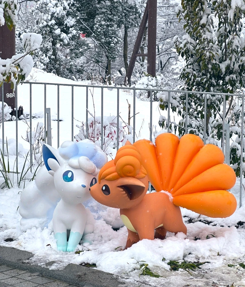 Image ajoutée par Jérémy